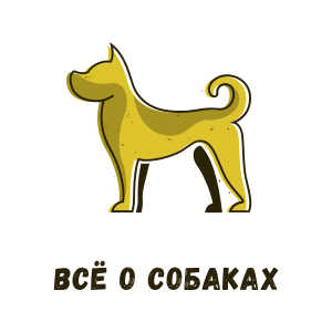 Всё о собаках